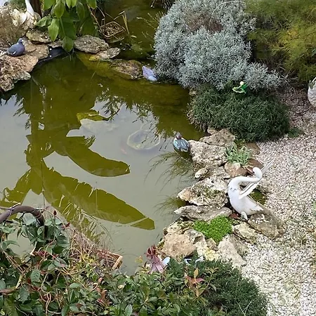 La Maison Du Bonheur * Saintry-sur-Seine