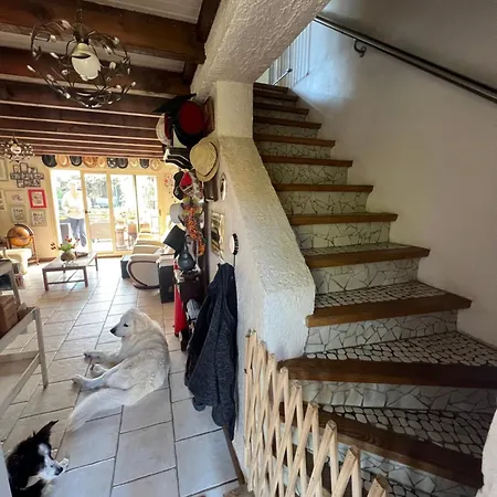 La Maison Du Bonheur Bed & Breakfast *