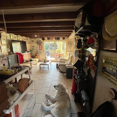 La Maison Du Bonheur